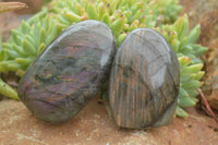 Polished Flashy Labradorite Standing Free Forms  x 12 From Tulear, Madagascar - TopRock