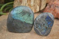 Polished Flashy Labradorite Standing Free Forms  x 12 From Tulear, Madagascar - TopRock