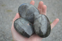 Polished Flashy Labradorite Standing Free Forms  x 12 From Tulear, Madagascar - TopRock