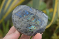 Polished Flashy Labradorite Standing Free Forms  x 12 From Tulear, Madagascar - TopRock