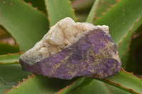 Natural Rough Purpurite Cobbed Specimens  x 6 From Erongo, Namibia - TopRock