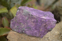 Natural Rough Purpurite Cobbed Specimens  x 6 From Erongo, Namibia - TopRock