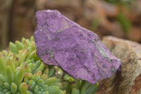 Natural Rough Purpurite Cobbed Specimens  x 6 From Erongo, Namibia - TopRock