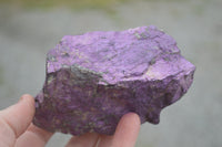 Natural Rough Purpurite Cobbed Specimens  x 6 From Erongo, Namibia - TopRock