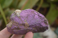 Natural Rough Purpurite Cobbed Specimens  x 6 From Erongo, Namibia - TopRock