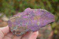 Natural Rough Purpurite Cobbed Specimens  x 6 From Erongo, Namibia - TopRock