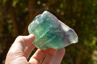 Natural Highly Selected Watermelon Fluorite Cobbed Pieces  x 14 From Uis, Namibia - TopRock