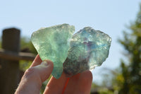 Natural Highly Selected Watermelon Fluorite Cobbed Pieces  x 14 From Uis, Namibia - TopRock