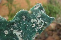 Polished Extra Large Green Mtorolite / Emerald Chrysoprase Plate  x 1 From Zimbabwe - TopRock