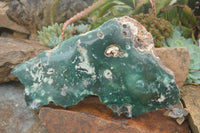 Polished Extra Large Green Mtorolite / Emerald Chrysoprase Plate  x 1 From Zimbabwe - TopRock