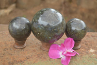 Polished Labradorite Spheres With Subtle Flash x 3 From Tulear, Madagascar - TopRock