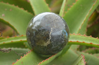 Polished Labradorite Spheres With Subtle Flash x 3 From Tulear, Madagascar - TopRock