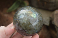 Polished Labradorite Spheres With Subtle Flash x 3 From Tulear, Madagascar - TopRock