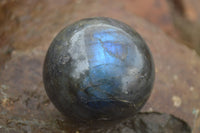 Polished Labradorite Spheres With Subtle Flash x 3 From Tulear, Madagascar - TopRock