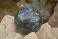 Polished Labradorite Spheres With Subtle Flash x 3 From Tulear, Madagascar - TopRock