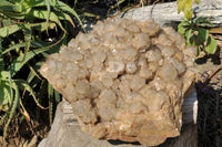 Natural Giant Lwena White Phantom Cascading Smokey Quartz x 1 From Lwena, Congo - TopRock