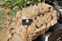 Natural Giant Lwena White Phantom Cascading Smokey Quartz x 1 From Lwena, Congo - TopRock