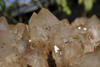 Natural Giant Lwena White Phantom Cascading Smokey Quartz x 1 From Lwena, Congo - TopRock