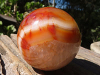 Polished Carnelian Agate Spheres  x 3 From Madagascar - Toprock Gemstones and Minerals 