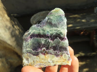 Polished Watermelon Fluorite Slices  x 6 From Uis, Namibia