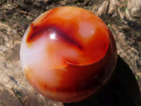 Polished Carnelian Agate Spheres  x 3 From Madagascar - Toprock Gemstones and Minerals 