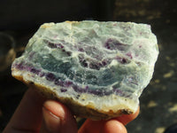 Polished Watermelon Fluorite Slices  x 6 From Uis, Namibia