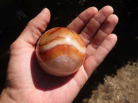 Polished Carnelian Agate Spheres  x 3 From Madagascar - Toprock Gemstones and Minerals 