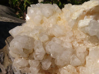 Natural White Phantom Castle Window Quartz Cluster x 1 From Ivato, Madagascar