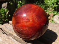 Polished Carnelian Agate Spheres  x 3 From Madagascar - Toprock Gemstones and Minerals 