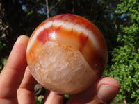 Polished Carnelian Agate Spheres  x 3 From Madagascar - Toprock Gemstones and Minerals 