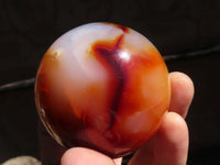 Polished Carnelian Agate Spheres  x 3 From Madagascar - Toprock Gemstones and Minerals 