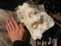 Natural White Phantom Castle Window Quartz Cluster x 1 From Ivato, Madagascar