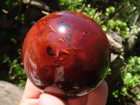 Polished Carnelian Agate Spheres  x 3 From Madagascar - Toprock Gemstones and Minerals 