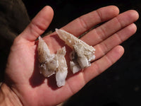 Natural Drusy Quartz Coated Calcite Crystals  x 20 From Alberts Mountain, Lesotho - Toprock Gemstones and Minerals 