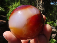 Polished Carnelian Agate Spheres  x 3 From Madagascar - Toprock Gemstones and Minerals 