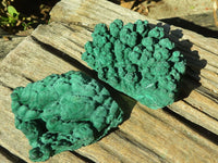 Natural Botryoidal Malachite Specimens  x 12 From Kolwezi, Congo