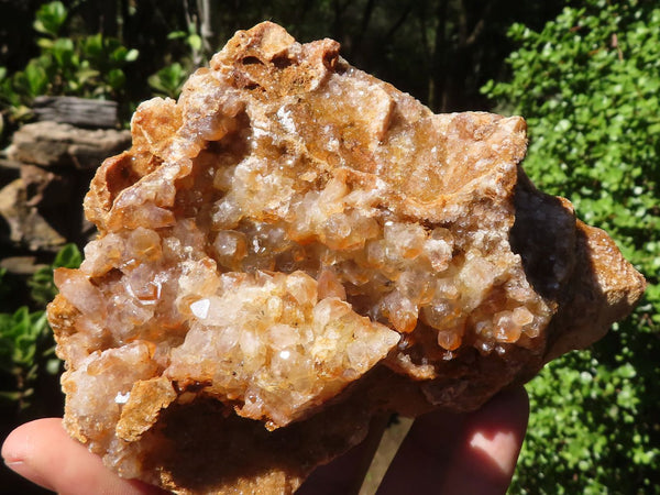 Natural Golden Limonite / Lemonite Quartz Clusters  x 5 From Zambia - Toprock Gemstones and Minerals 