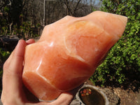 Polished Orange Twist Calcite Flame Sculpture  x 1 From Madagascar