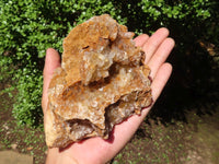 Natural Golden Limonite / Lemonite Quartz Clusters  x 5 From Zambia - Toprock Gemstones and Minerals 