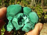 Natural Botryoidal Malachite Specimens  x 12 From Kolwezi, Congo