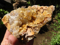 Natural Golden Limonite / Lemonite Quartz Clusters  x 5 From Zambia - Toprock Gemstones and Minerals 