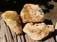 Natural Golden Limonite / Lemonite Quartz Clusters  x 5 From Zambia - Toprock Gemstones and Minerals 