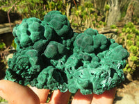 Natural Botryoidal Malachite Specimens  x 12 From Kolwezi, Congo