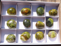 Polished Green Opal Palm Stones  x 12 From Antsirabe, Madagascar - Toprock Gemstones and Minerals 