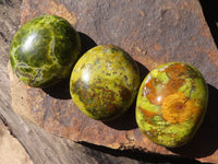 Polished Green Opal Palm Stones  x 12 From Antsirabe, Madagascar - Toprock Gemstones and Minerals 