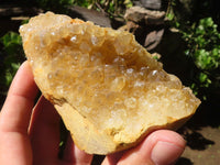 Natural Golden Limonite / Lemonite Quartz Clusters  x 5 From Zambia - Toprock Gemstones and Minerals 