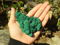 Natural Botryoidal Malachite Specimens  x 12 From Kolwezi, Congo