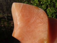 Polished Orange Twist Calcite Flame Sculpture  x 1 From Madagascar