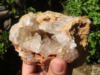 Natural Golden Limonite / Lemonite Quartz Clusters  x 5 From Zambia - Toprock Gemstones and Minerals 