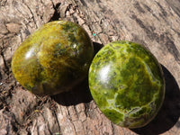 Polished Green Opal Palm Stones  x 12 From Antsirabe, Madagascar - Toprock Gemstones and Minerals 